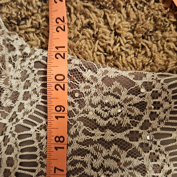 Taupe Lacey Dress| Jessica Howard| W Sz. 14 |Bridal, Winter Formal, Fairycore - Picture 9 of 13